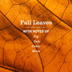 Fall Leaves Plug In Scented Oil Refill, 2-Pack