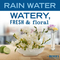 Rain Water Body Wash