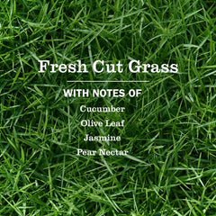 Fresh Cut Grass Multi-Surface Everyday Cleaner 3-count Bundle