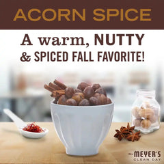 Acorn Spice Soy Candle Large