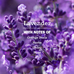 Lavender Laundry Detergent