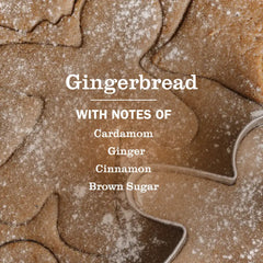 Gingerbread Multi-Surface Everyday Cleaner 3-count Bundle