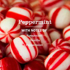 Peppermint Dish Soap 3-count Bundle
