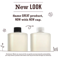 Honeysuckle Multi-Surface Concentrate
